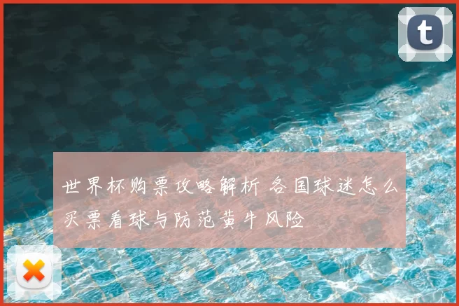 世界杯购票攻略解析 各国球迷怎么买票看球与防范黄牛风险