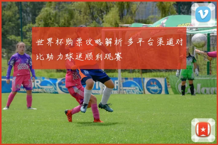 世界杯购票攻略解析 多平台渠道对比助力球迷顺利观赛